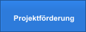 Projektförderung